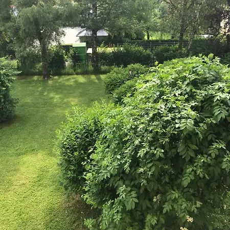 Sandra's Studio Apartment *