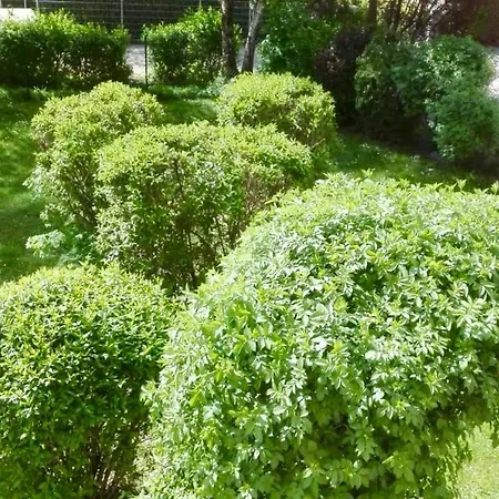 Sandra's Studio Klagenfurt am Woerthersee